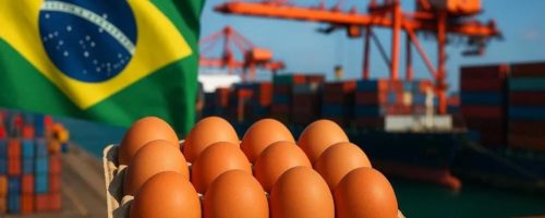 Capa Matéria Exportações brasileiras de ovos avançam