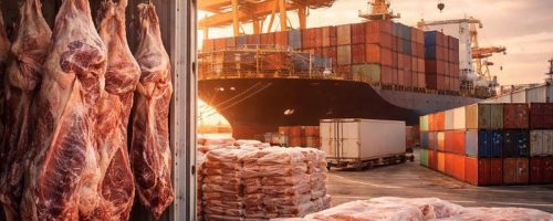 Capa Matéria Exportações de carne
