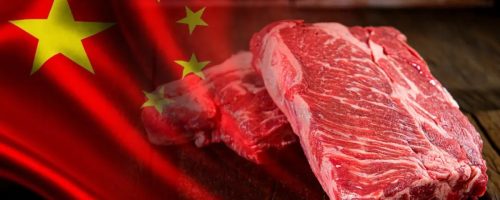 Capa Matéria Exportações de carne bovina batem recorde