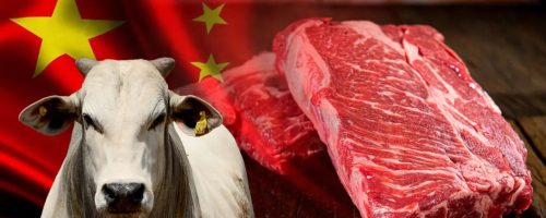 Capa Matéria Febre Aftosa China