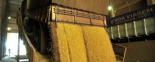 Capa Matéria Frete de grãos avança em Mato Grosso
