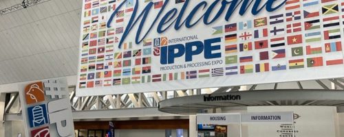 Capa Matéria IPPE 2026 (4)