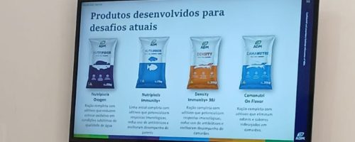Capa Matéria Imunite+