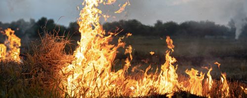 Capa Matéria Incêndios Rurais