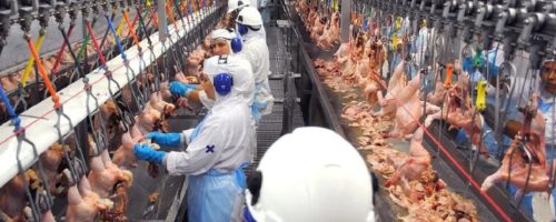 Capa Matéria Indústria de alimentos sustenta empregos
