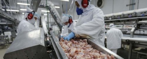 Capa Matéria Iraque suspende importação de frango (1)