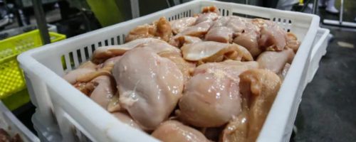 Capa Matéria Iraque suspende importação de frango
