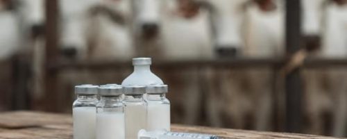 Capa Matéria Mapa libera mais 12,3 milhões de doses contra clostridioses