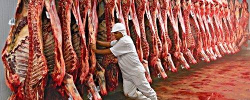 Capa Matéria Mato Grosso exportações 2025