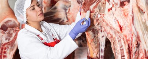 Capa Matéria Mercado de proteína animal