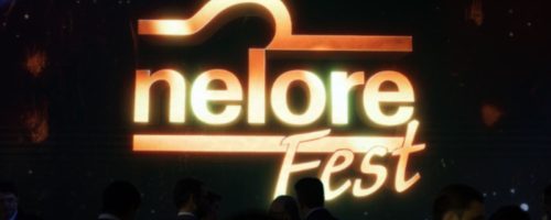 Capa Matéria Nelore Fest (1)