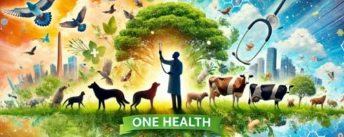 Capa Matéria One Health