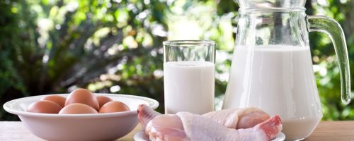 Capa Matéria Ovos, frango e leite em pó