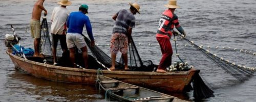 Capa Matéria Pesca