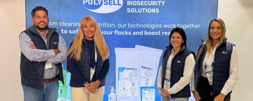 Capa Matéria Poly Sell IPPE 2026