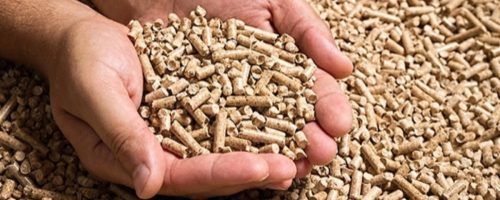 Capa Matéria Produção de rações cresce 2% até setembro