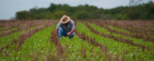 Capa Matéria Produtores do Paraná