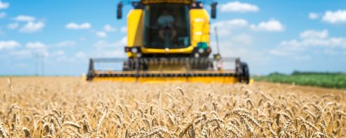 Capa Matéria Produzir mais em menos área