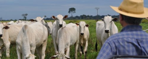 Capa Matéria Proteção do Pecuarista