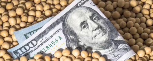 Capa Matéria Queda do dólar e safra recorde soja