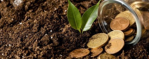 Capa Matéria Risco financeiro no campo