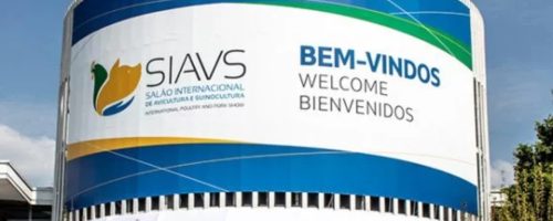 Capa Matéria SIAVS 2026