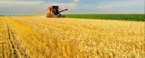 Capa Matéria Safra de grãos cresce 113% desde 2012 (1)