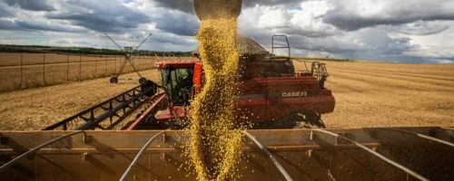 Capa Matéria Safra de grãos cresce 113% desde 2012