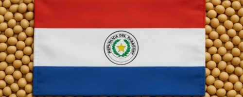 Capa Matéria Safra recorde de soja no Paraguai (1)