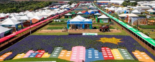 Capa Matéria Show Rural Coopavel 2026