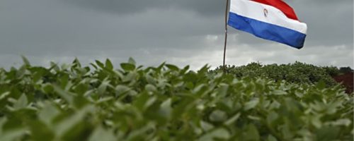 Capa Matéria Soja Paraguai