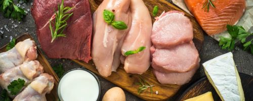 Capa Matéria Sustentabilidade na proteína animal