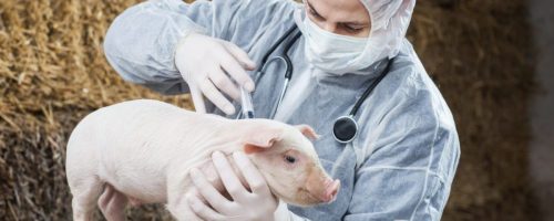 Capa Matéria antimicrobianos como melhoradores de desempenho