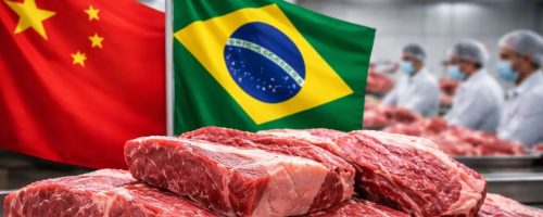 Capa Matéria carne bovina para China em 2026
