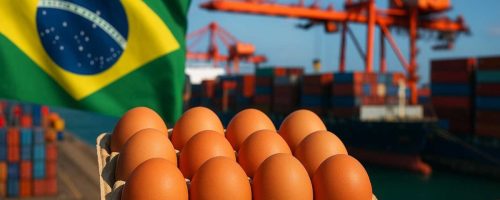 Capa Matéria exportação de Ovos