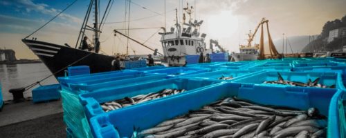 Capa Matéria exportações da cadeia de pesca e aquicultura