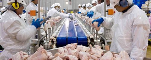 Capa Matéria exportações de frango