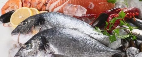 Capa Matéria pescado no Brasil