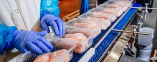Capa Matéria produção de carne de frango