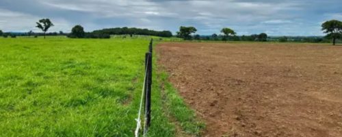 Capa Matéria recuperação de pastagens no Brasil