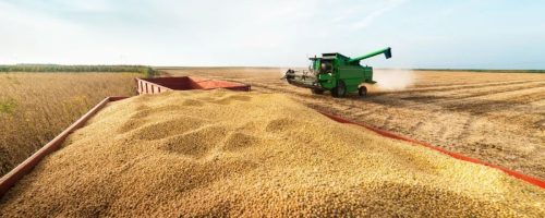 Capa Matéria soja nos EUA