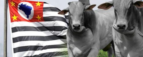 Capa Matéria superávit do agro paulista