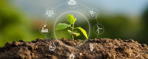 Capa Matéria sustentabilidade no agronegócio