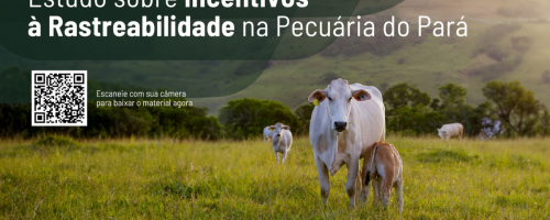 Design sem nome
