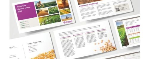 EVONIK relatorio de materias primas 2023