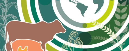 alimentos de origem animal