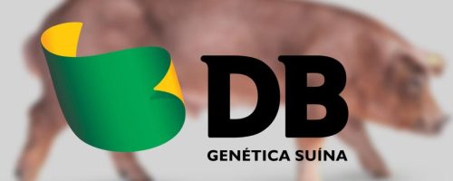 DB GENETICA SUINA