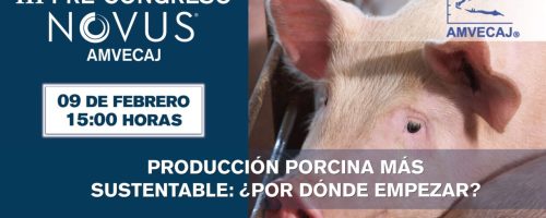III Pre Congreso Novus AMVECAJ 2022