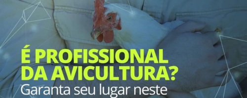 IMAGEM DESTAQUE F&F (13)