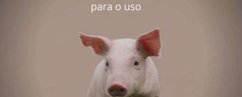 IMAGEM QUALIBABY 1
